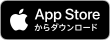  从App Store下载